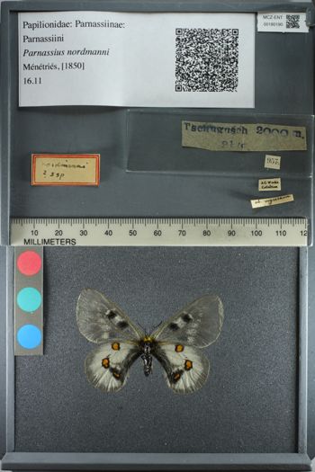 Media type: image;   Entomology 180190
